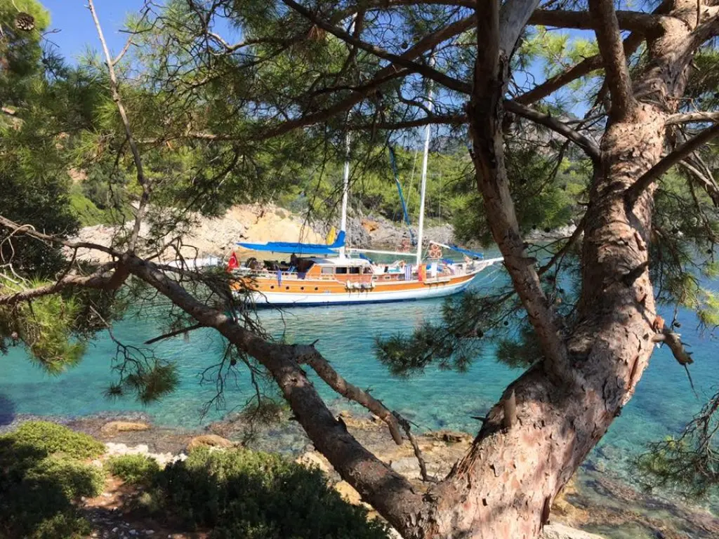 www.bluecruisesturkey.com