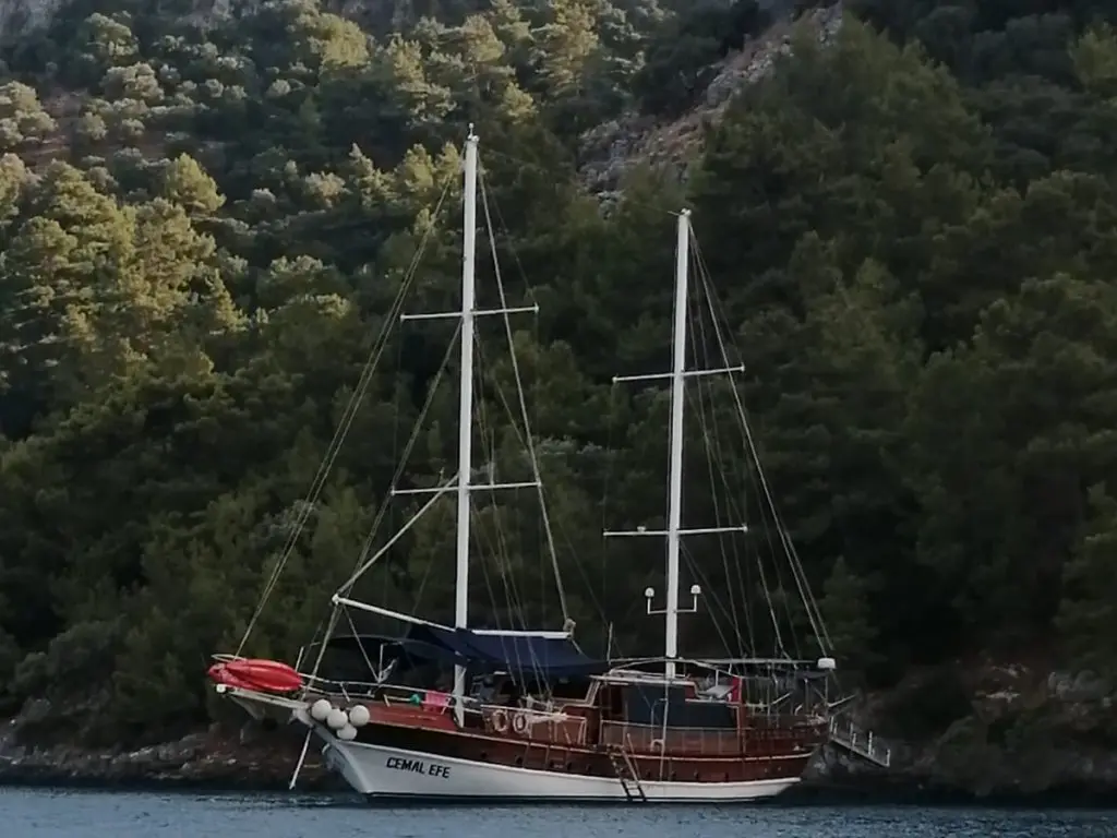 Cemal Efe Gulet