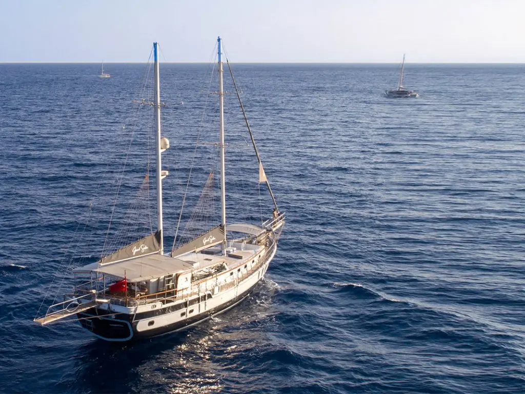 Grand Sailor