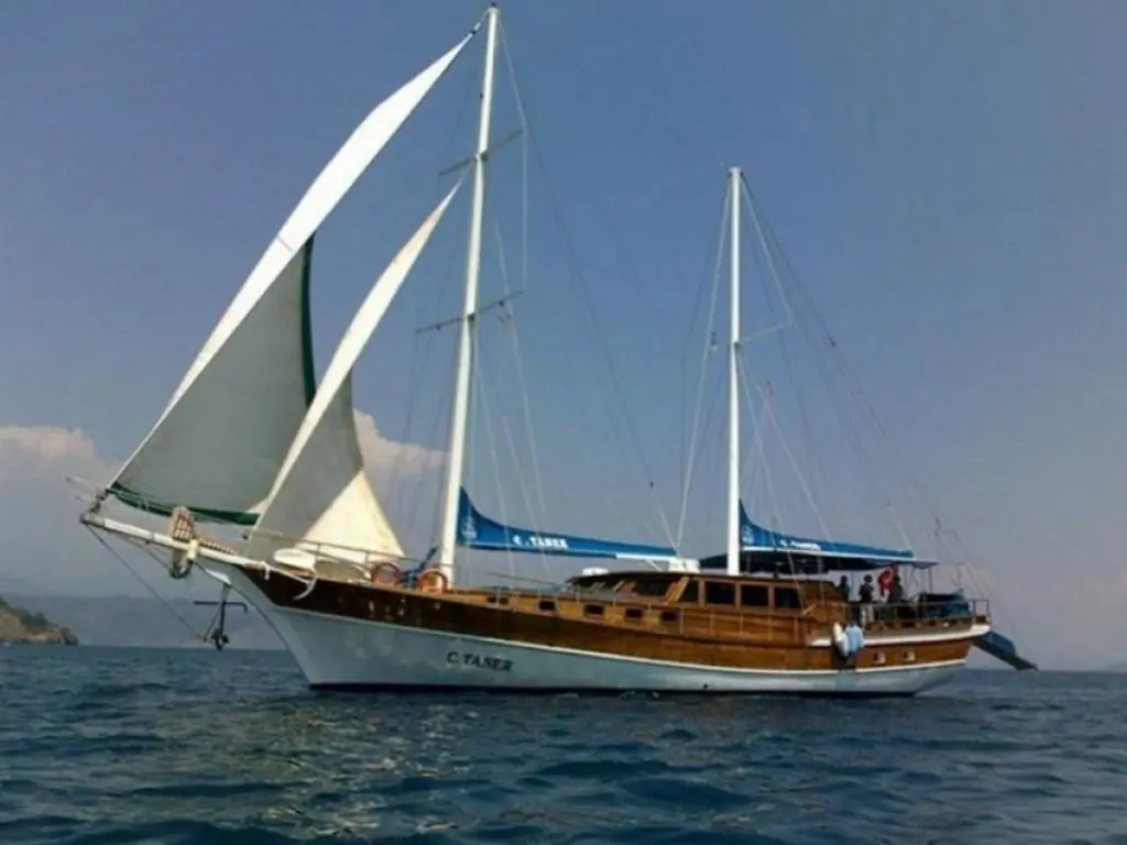 C Taner Gulet